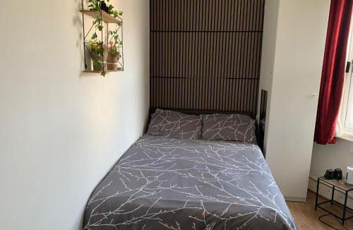Peckham Rye House | Spacious Rooms - London Zone 2