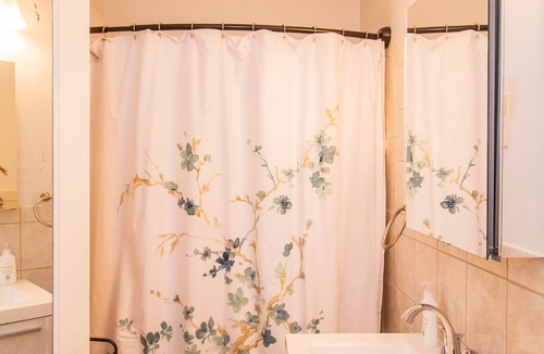 Coolidge Corner South Side Apartment | Spacious Studio, Coolidge Corner, Public Transport