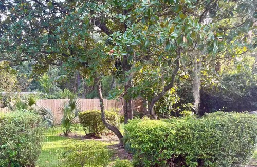 Tallahassee Apartment | Spacious Studio Unit right across from TMH