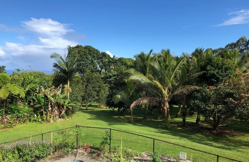 Hakalau Apartment | Spacious suite on twelve acres
