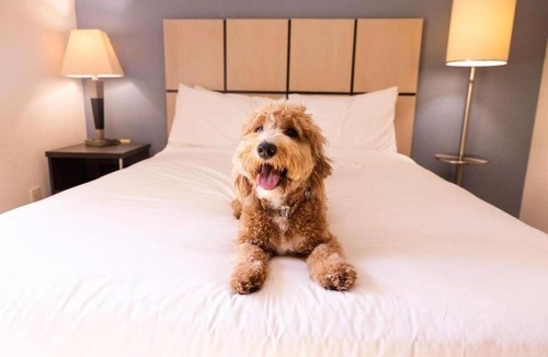 Schiller Park Hotel | Spacious Unit with Full Kitchen, Free Airport Shuttle! Near Ruby Park!