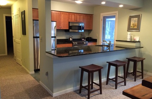 Warren Condo | Spacious updated condo close to the slopes (Paradise condo)