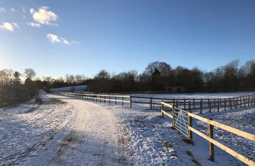 Horsholm Villa | Spacious Villa for Christmas Holiday, close to Copenhagen