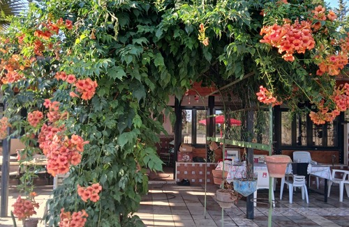 Dos Hermanas Villa | Spacious villa, private pool in huge grounds, orange trees, outskirts of Sevilla