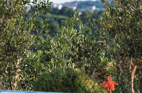 Businci Villa | Spacious villa with private pool and the breathtaking view near Trogir