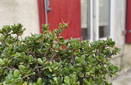 Taurize Cottage | spacious village house with panoramic terrace