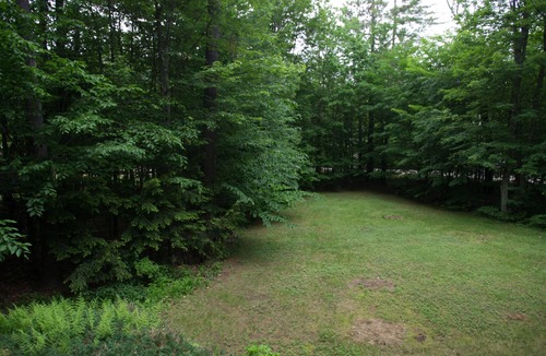 Bartlett House | Spacious White Mountain Home: Ski, shop & sit by a roaring fire