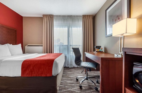 Oshawa Hotel | Spark by Hilton Oshawa