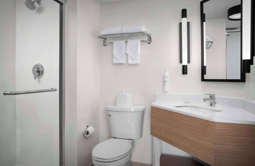 Tampa Hotel | Spark by Hilton Tampa Brandon