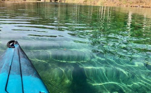Leakey House | Sparkling Frio