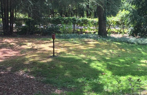 Old Town Cottage | Special and charming. Quite, clean, close and comfortable. Everyone loves it.:>