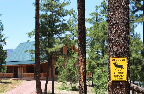 Alpine Cabin | Spectacular 6 BR cabin surrounded by ponderosa pines - in Alpine
