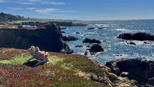 Fort Bragg House | Spectacular Oceanfront Studio with Hot Tub & Loft