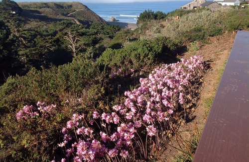 Manchester House | Spectacular Views with Privacy