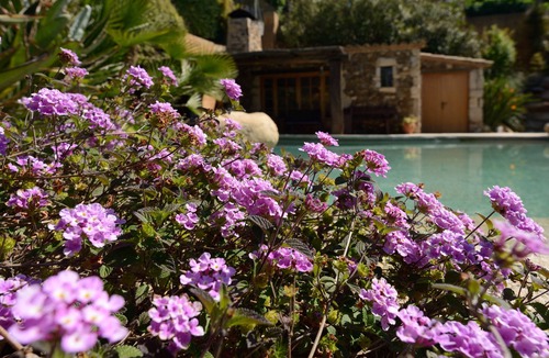 Canet de Mar Villa | Spectacular villa on Barcelona coast - Lagoon-style jacuzzi. wifi, a/c