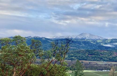 Cloverdale House | Spectacular vineyard views
