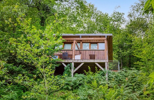 Mirandol-Bourgnounac House | Spend a lovely break close to nature in this holiday home with access to the pool.