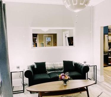 Fredericton Apartment | Spin & Sip - Dog-Friendly Vinyl Vibes Downtown