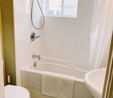 Fredericton Apartment | Spin & Sip - Dog-Friendly Vinyl Vibes Downtown