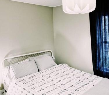 Fredericton Apartment | Spin & Sip - Dog-Friendly Vinyl Vibes Downtown