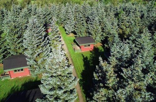 Udsholt House | Splendid cabin in camping resort