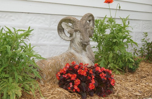 Shiner Cottage | Spoetzl Haus, Historic Cottage 4 blocks from Spoetzl Brewery