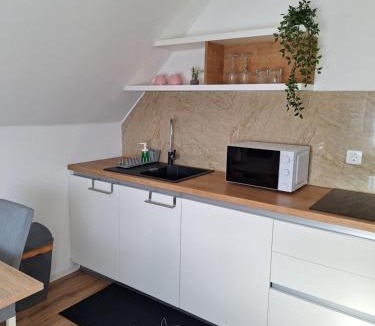 Poljanak House | Spoljaric Estate - Studio&Rooms Plitvice