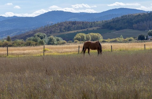 Star Valley Ranch Cabin | Spotted Moon Ranch - River Front - Tiny Home