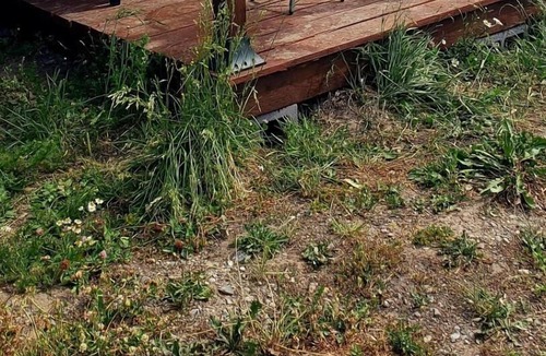 Star Valley Ranch Cabin | Spotted Moon Ranch - River Front - Tiny Home