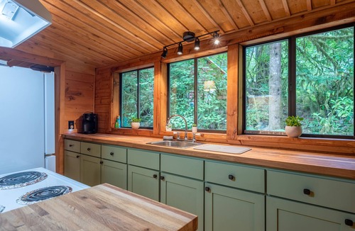 Rhododendron Cabin | Spring break special 3rd night free stay before 4/20/26