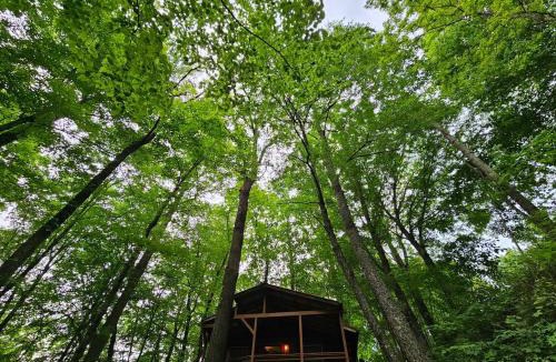 Mars Hill House | Spring Couples Getaway Hot Tub plus 500Mbps