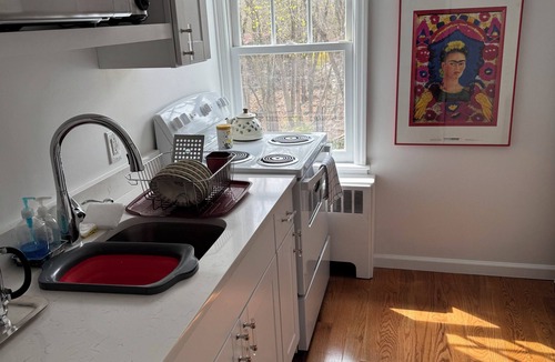 Croton-on-Hudson Cottage | Spring flowers coming up. Plus great views of Croton River Gorge, a birder haven