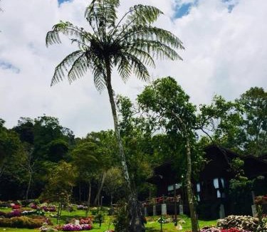 Kundasang House | Spring Garden