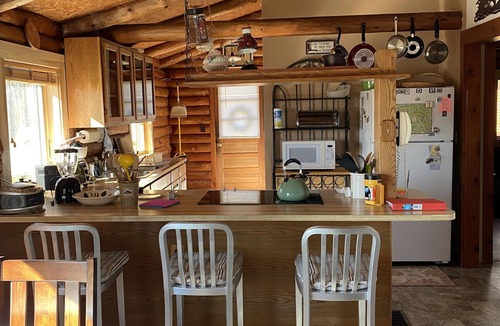 Mount Holly Cabin | SPRING IN THE GREEN MOUNTAINS/PET FRIENDLY-WOOF