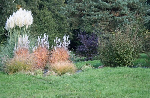 Le Clerjus Bed & Breakfast | Spring Room with Park and Nature Activities