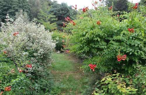 Le Clerjus Bed & Breakfast | Spring Room with Park and Nature Activities