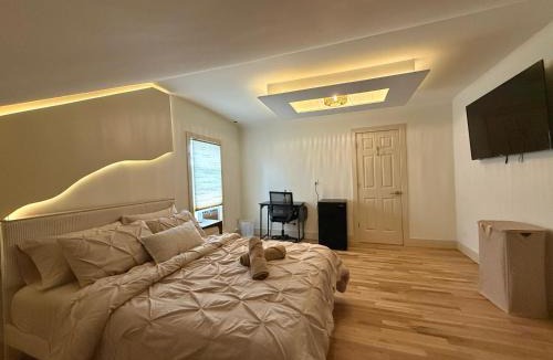 The Hill Apartment | Spring Rooms by Yale & Downtown