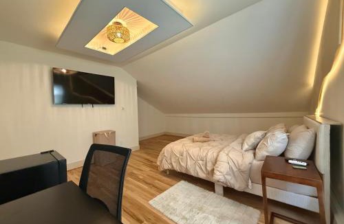 The Hill Apartment | Spring Rooms by Yale & Downtown
