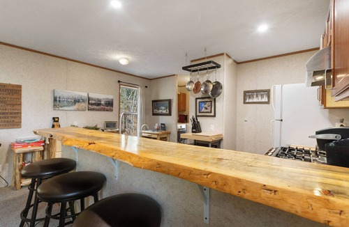 Cripple Creek Cabin | Spring Special Price Private, Romantic, Dog friendly, NEW HotTub, Hiking