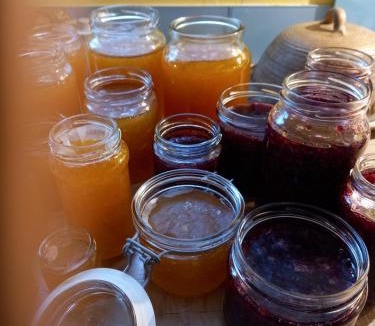 Insch Ski Chalet | Springbank Cabin