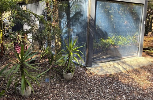 Springbrook Cabin | Springbrook Canyon Cabin