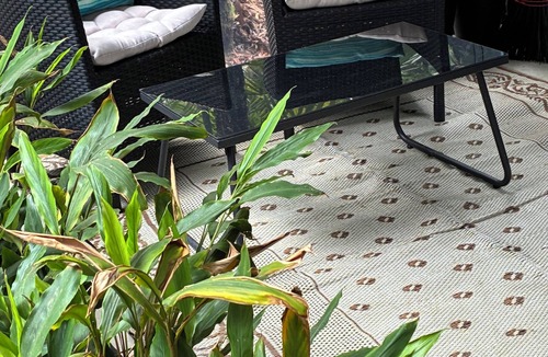 Springbrook Cabin | Springbrook Canyon Cabin