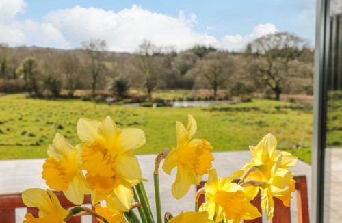 Totnes House | Springfield Farm