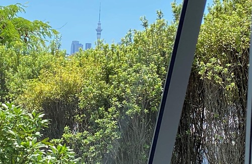 Kingsland House | Springfield Garden House | modern & central