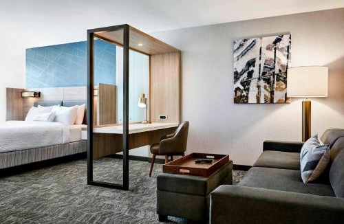 Hoschton Hotel | SpringHill Suites by Marriott Braselton