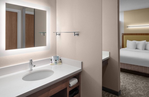 South Side Flats Hotel | SpringHill Suites by Marriott Pittsburgh Southside Works