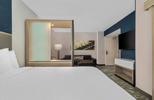Camden Hotel | Springhill Suites By Marriott Camden