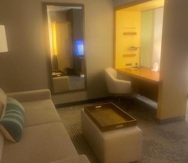 Newtonville Hotel | Springhill Suites by Marriott