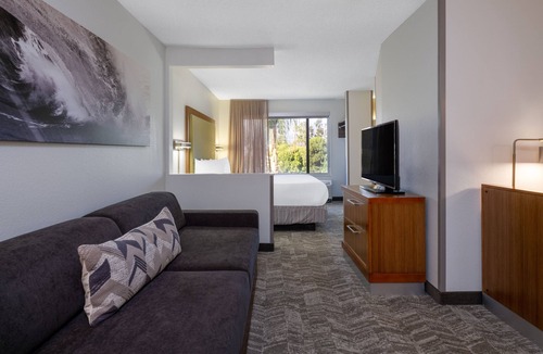 Arcadia Hotel | SpringHill Suites by Marriott Pasadena Arcadia