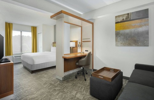 Athens Hotel | SpringHill Suites by Marriott Athens West